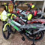 Premier BMX Bike