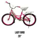 Lady bird bike 20"