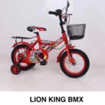 Lion kings bike