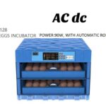Eggs Incubator