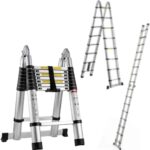 Double sided Telescopic ladder