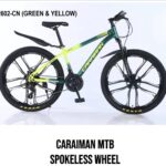 Caraiman MTB bike