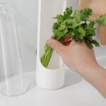 Vegetable Preservation Bottle - Image 4