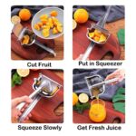 Heavy Manual Juicer