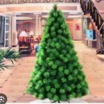 Christmas trees